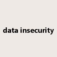 data insecurity是什么意思