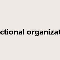 functional organization是什么意思