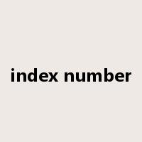 index number是什么意思