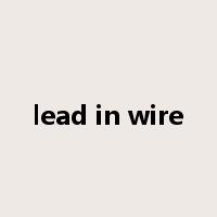 lead in wire是什么意思