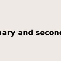 primary and secondary是什么意思