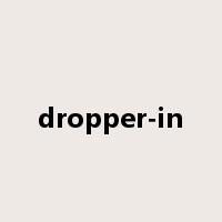 dropper-in是什么意思