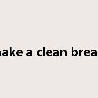 make a clean breast是什么意思