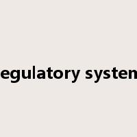 regulatory system是什么意思