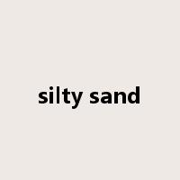 silty sand是什么意思