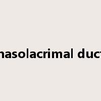 nasolacrimal duct是什么意思
