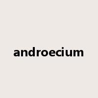 androecium是什么意思