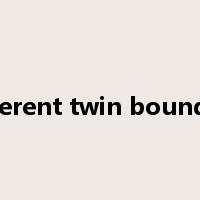 coherent twin boundary是什么意思