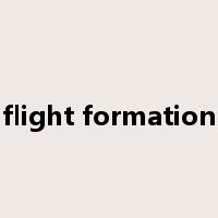 flight formation是什么意思