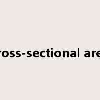 cross-sectional area是什么意思