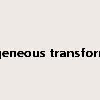 homogeneous transformation是什么意思