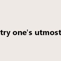 try one's utmost是什么意思