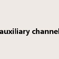 auxiliary channel是什么意思