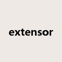 extensor是什么意思