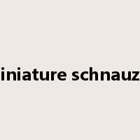 miniature schnauzer是什么意思