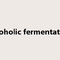 alcoholic fermentation是什么意思