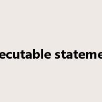 executable statement是什么意思