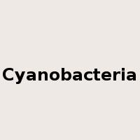 Cyanobacteria是什么意思