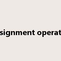 assignment operator是什么意思