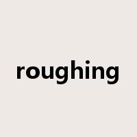 roughing是什么意思