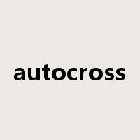 autocross是什么意思