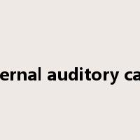 external auditory canal是什么意思