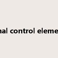 final control element是什么意思