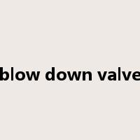blow down valve是什么意思