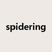spidering是什么意思