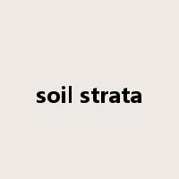 soil strata是什么意思
