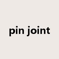 pin joint是什么意思
