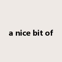 a nice bit of是什么意思