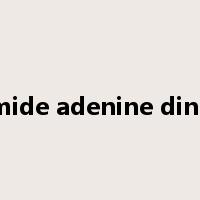 nicotinamide adenine dinucleotide是什么意思
