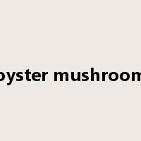 oyster mushroom是什么意思