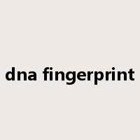 dna fingerprint是什么意思