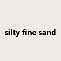 silty fine sand是什么意思
