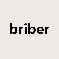 briber是什么意思