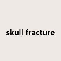 skull fracture是什么意思