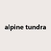 alpine tundra是什么意思