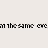 at the same level是什么意思