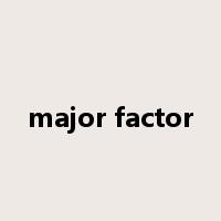 major factor是什么意思