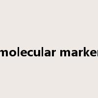 molecular marker是什么意思