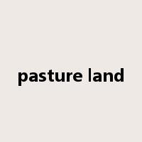 pasture land是什么意思