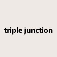 triple junction是什么意思