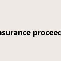 insurance proceeds是什么意思