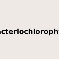 bacteriochlorophyll是什么意思