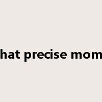 at that precise moment是什么意思
