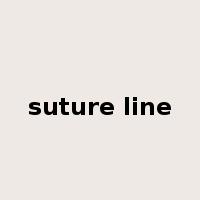 suture line是什么意思
