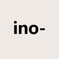 ino-是什么意思