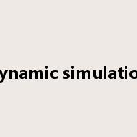 dynamic simulation是什么意思